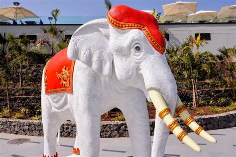  The White Elephant: Un racconto thailandese che celebra la fortuna e l'equilibrio sociale!